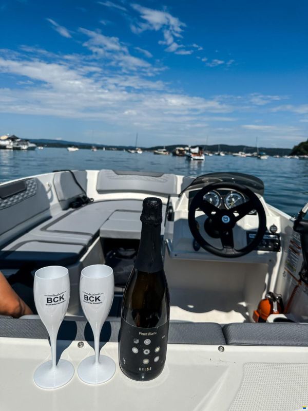 Bayliner M15