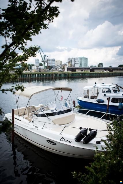 Bayliner Avanti 7