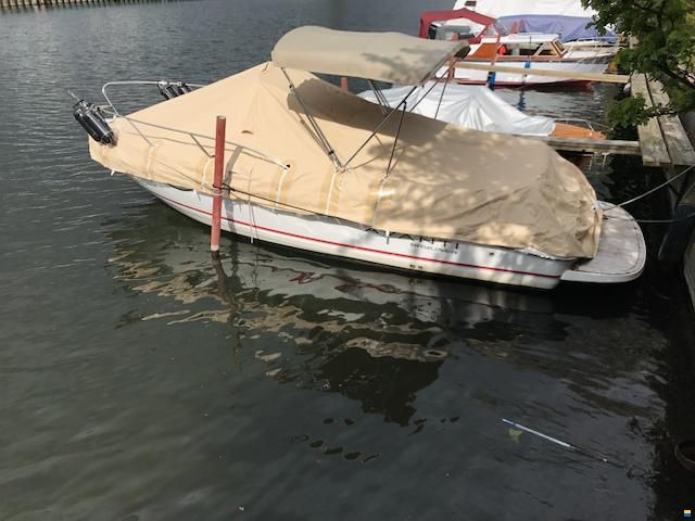 Bayliner Avanti 7