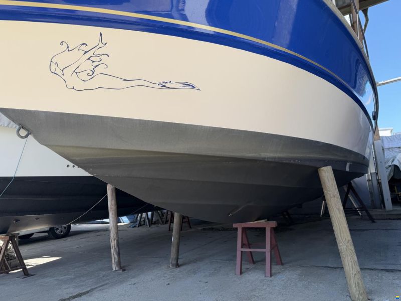 Sea Ray 300 Express