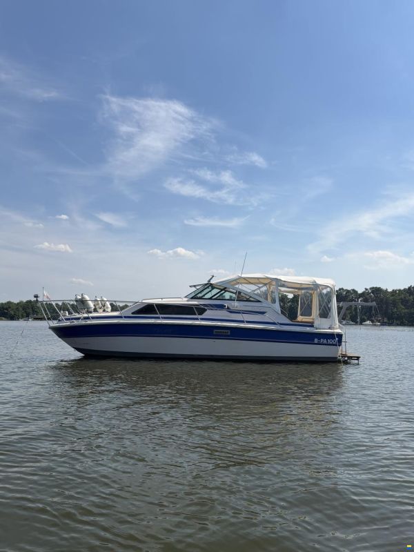 Sea Ray 300 Express