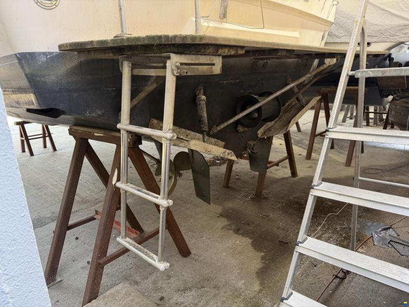 Sea Ray 300 Express