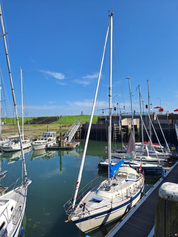 Hallberg-Rassy 312 MK2