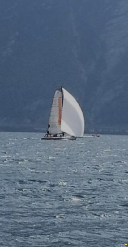 Premier Composite Technologies Farr 11S