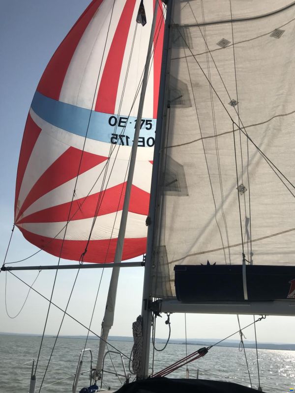 Schöchl Sunbeam 29KS
