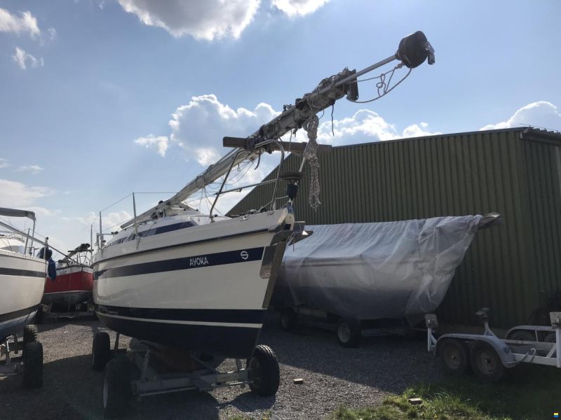 Schöchl Sunbeam 29KS