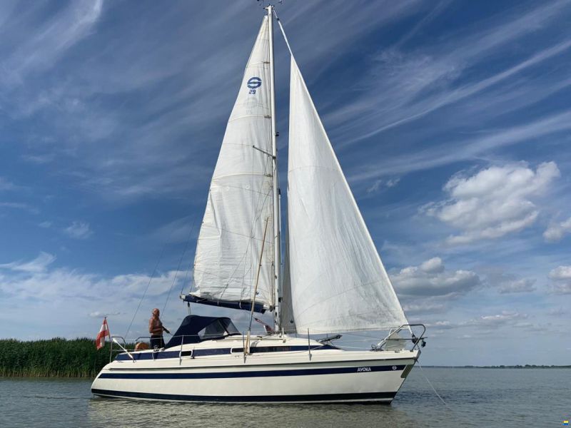 Schöchl Sunbeam 29KS