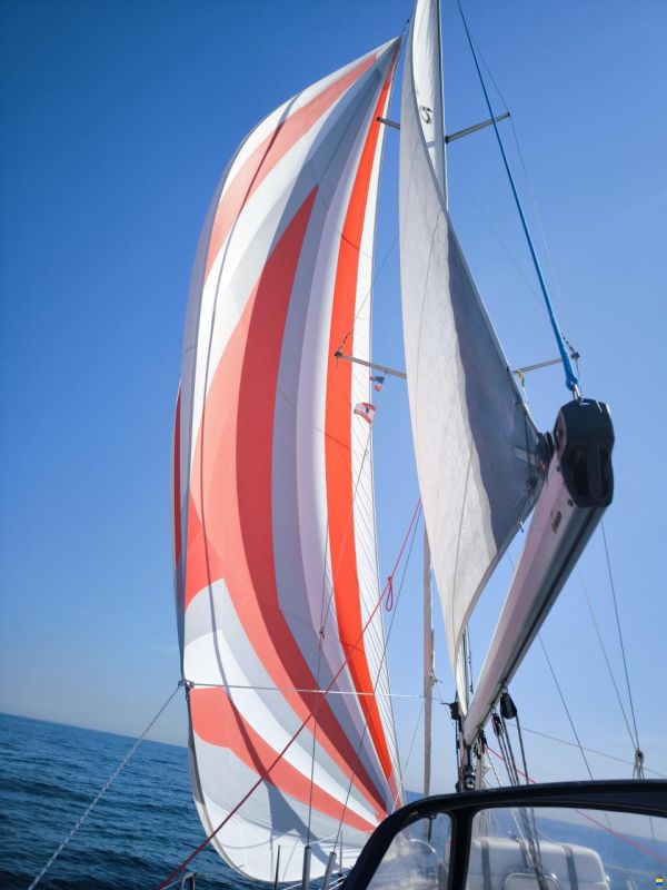 Bavaria 36