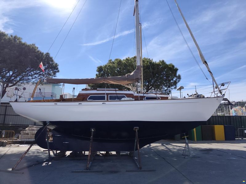 Trewes Captain 36