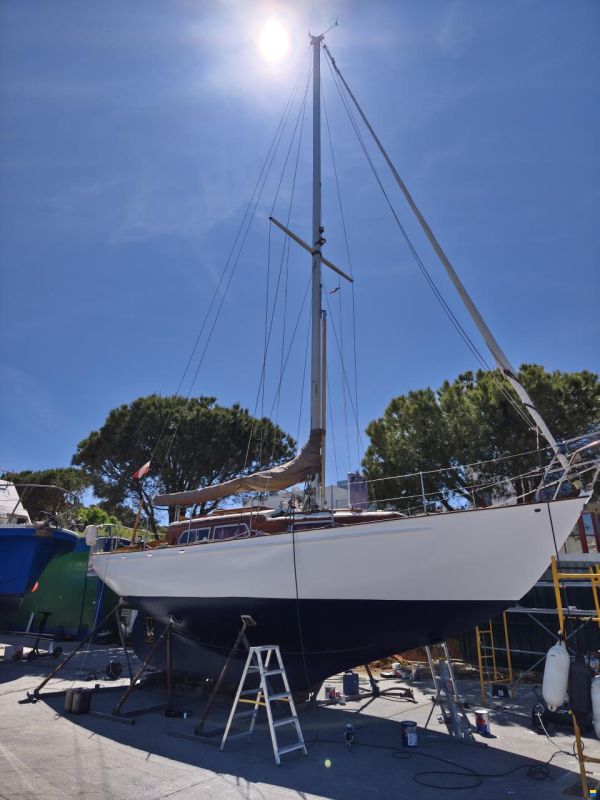 Trewes Captain 36