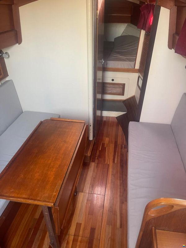 Trewes Captain 36