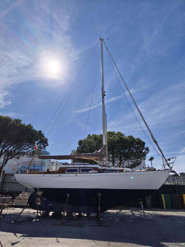 Trewes Captain 36