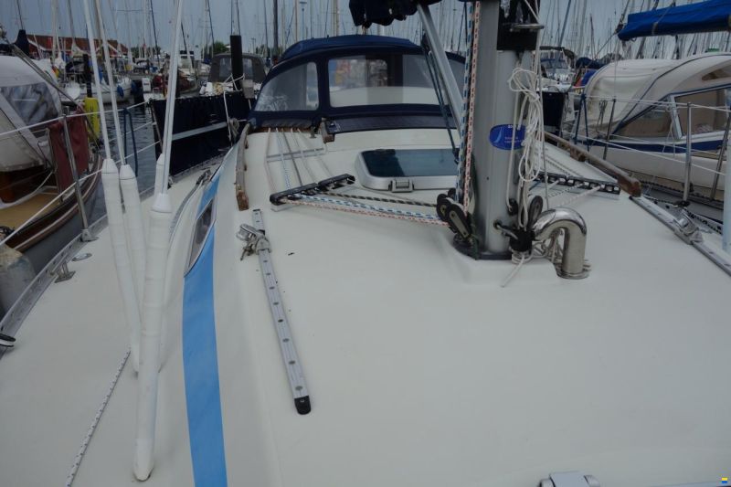 Elan 33