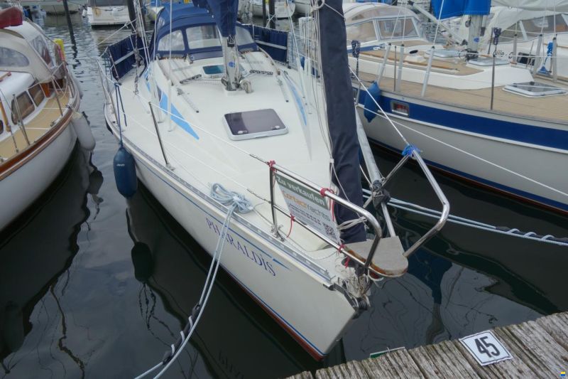 Elan 33