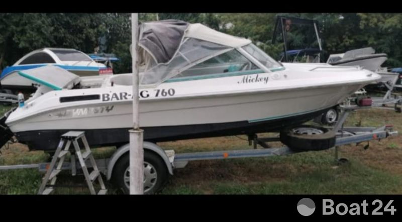 Dynasty Sportboot