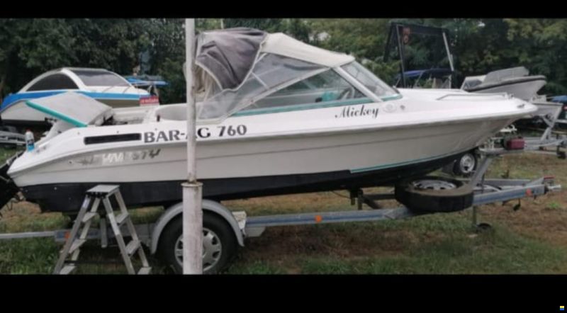 Dynasty Sportboot