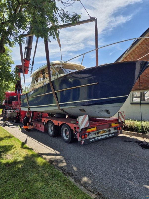 ACM Dufour Elite 31