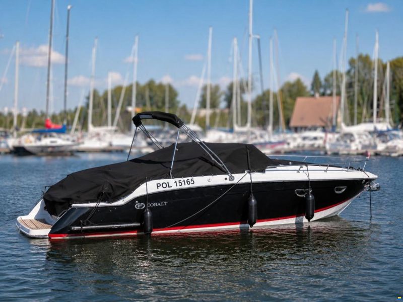 Cobalt 273