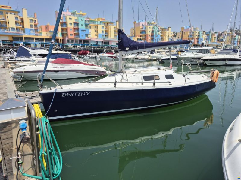 Astifer Golfinho 7,25