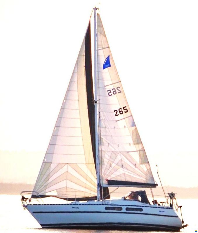 Nautic Plast Hai 760