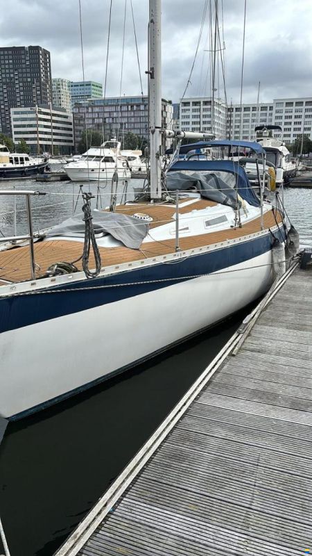 Wauquiez Gladiator 33