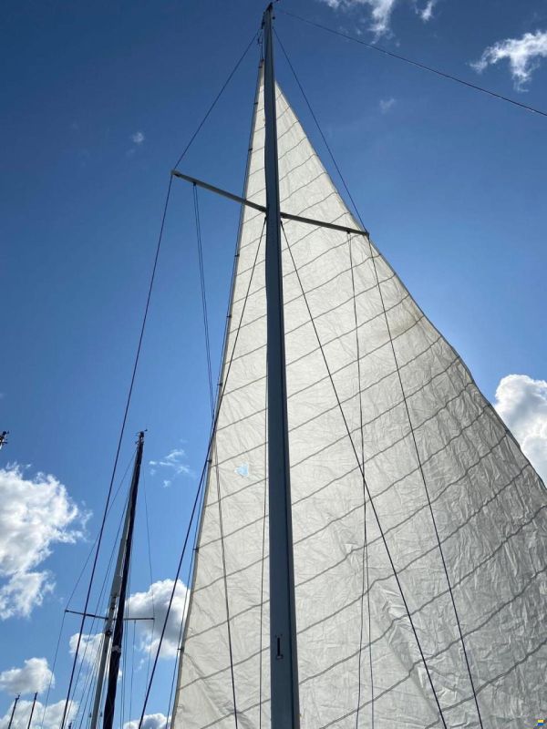 Wauquiez Gladiator 33