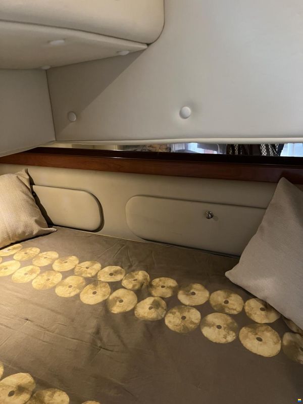 Rinker 300 Fiesta Vee