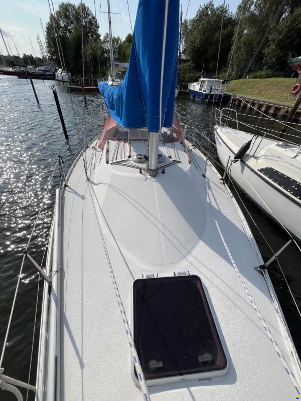 Albin Cirrus 78