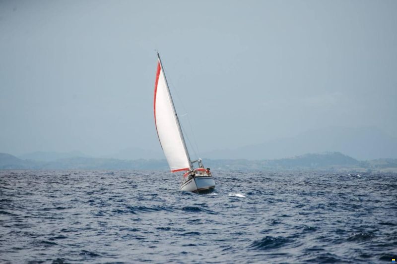 Najad 34