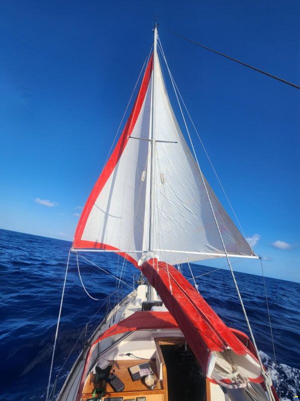 Najad 34