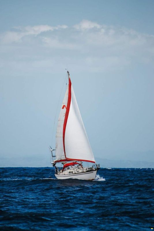 Najad 34