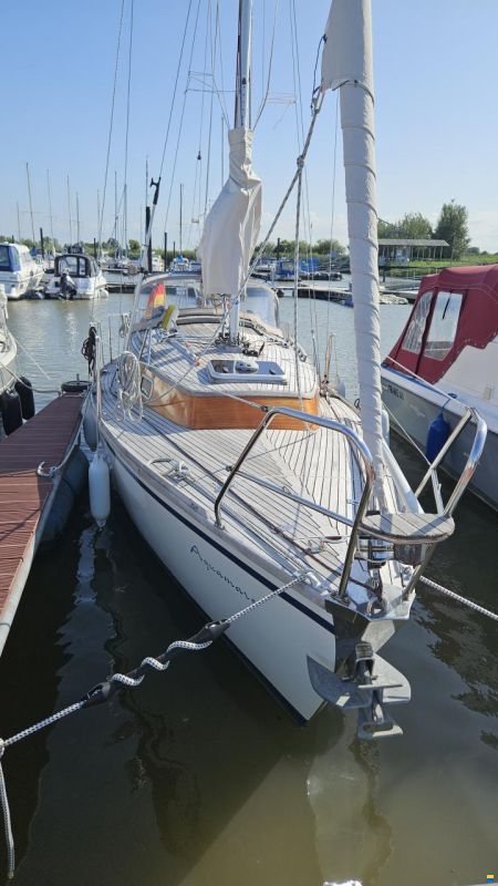 Biga 282