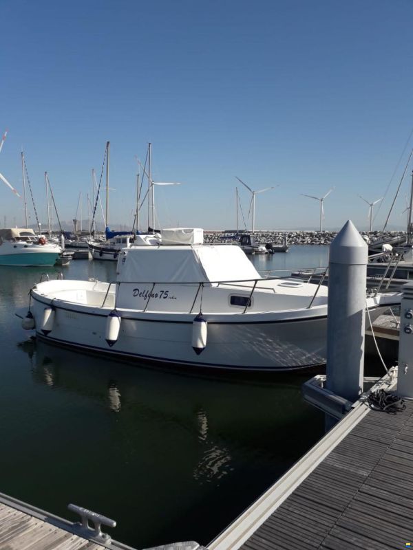 Parente Delfino 75 Cabin