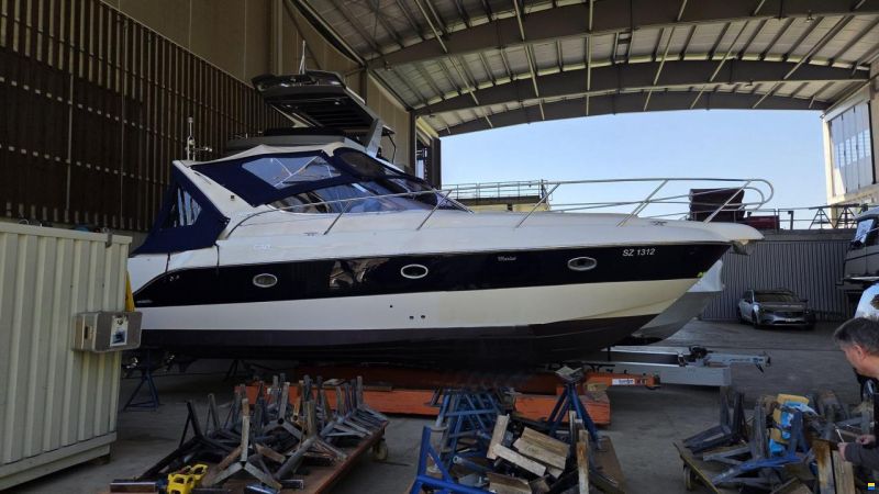 Sessa C30