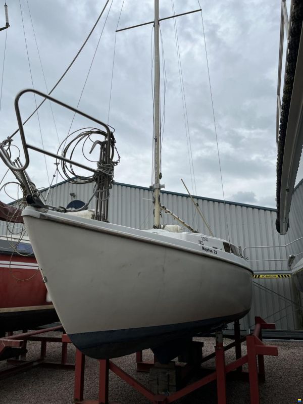 Neptun 22