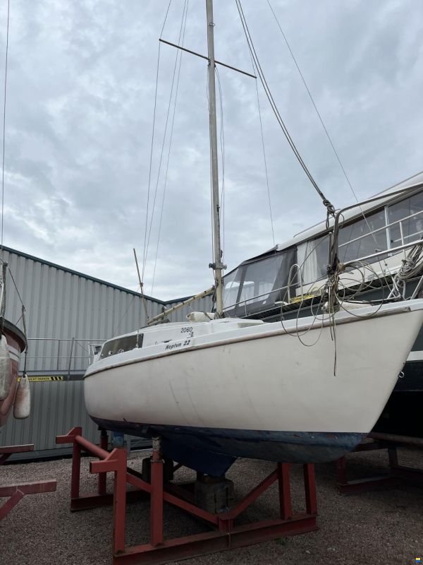 Neptun 22