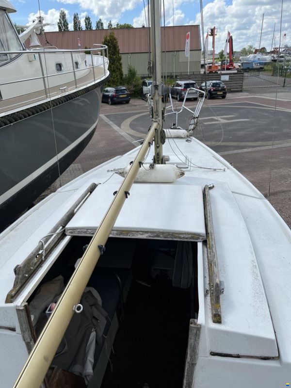 Neptun 22