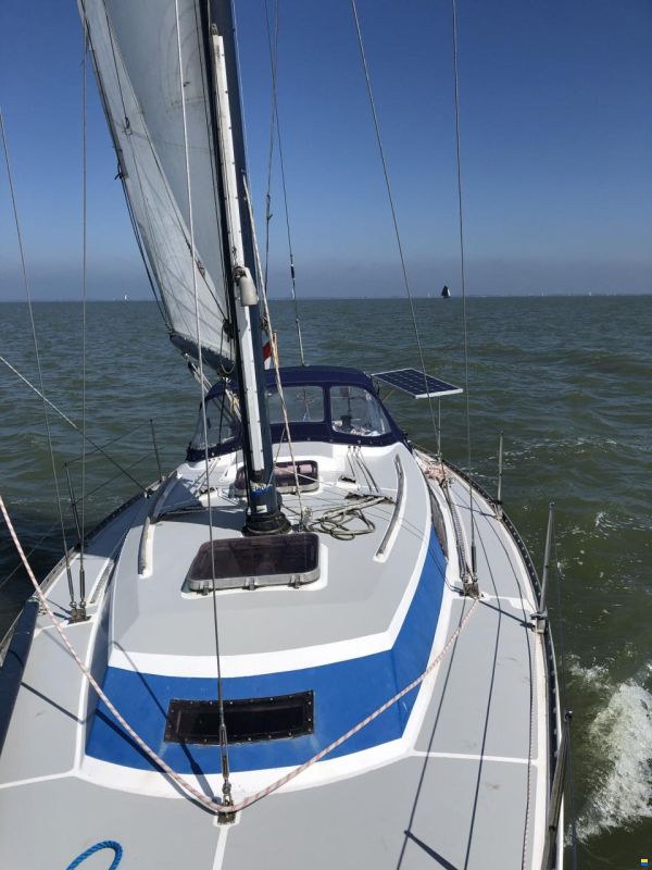 Standfast 33