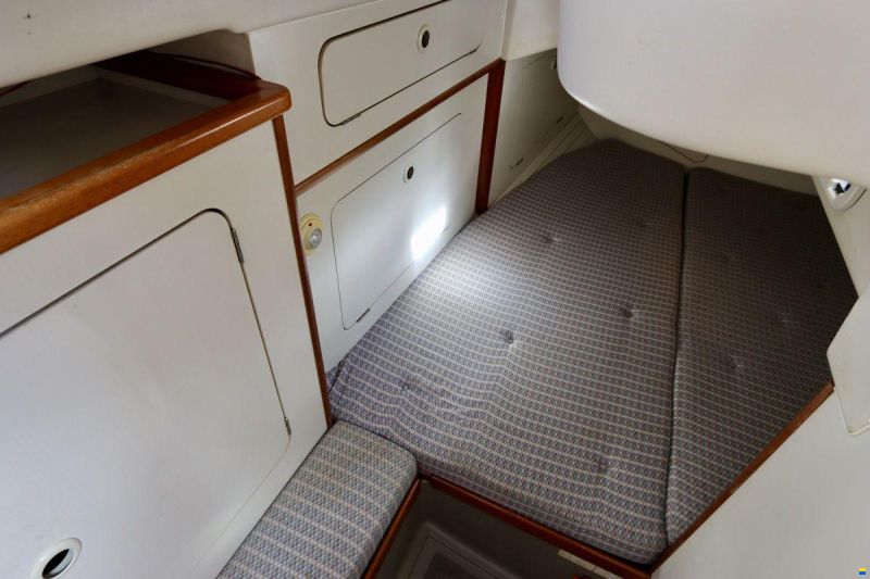 Dehler 36 CWS