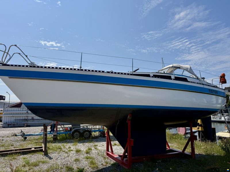 Genzel Orion 34