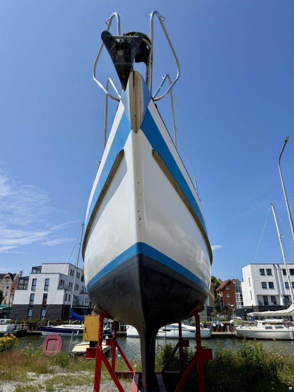Genzel Orion 34