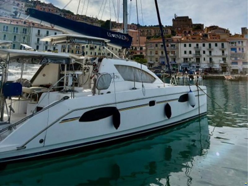 Leopard 39