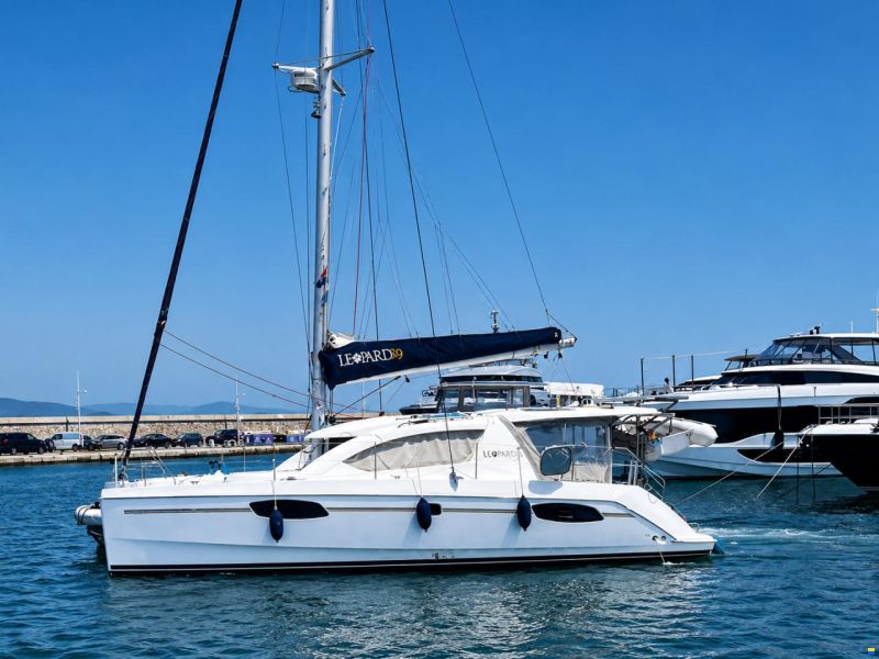 Leopard 39