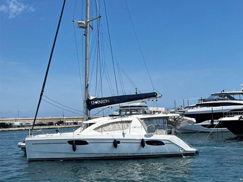 Leopard 39