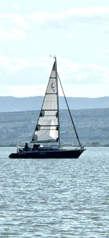 Dehlya 25