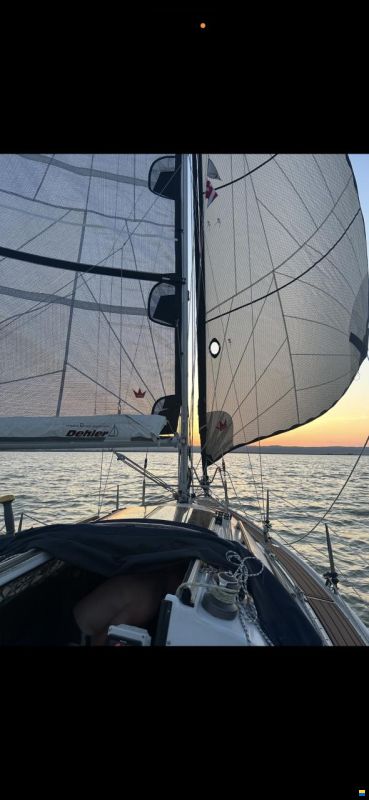 Dehlya 25