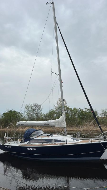 Dehlya 25