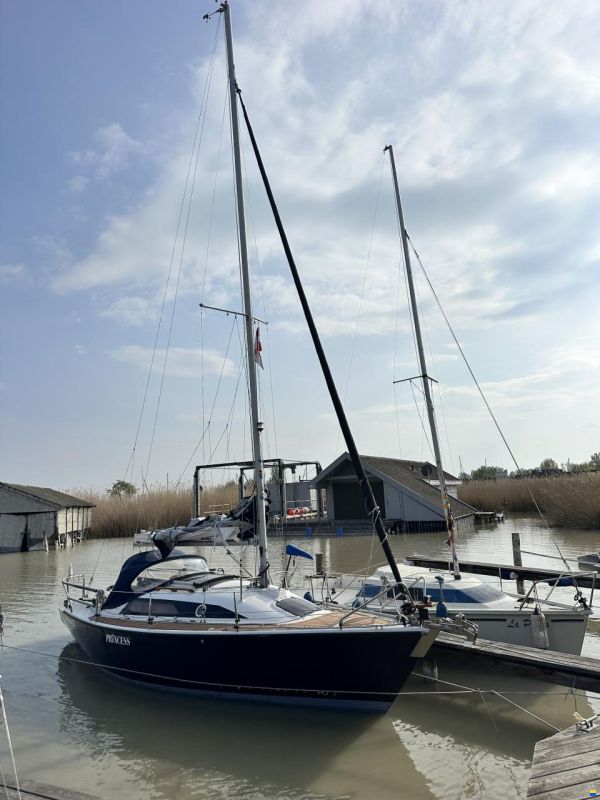 Dehlya 25