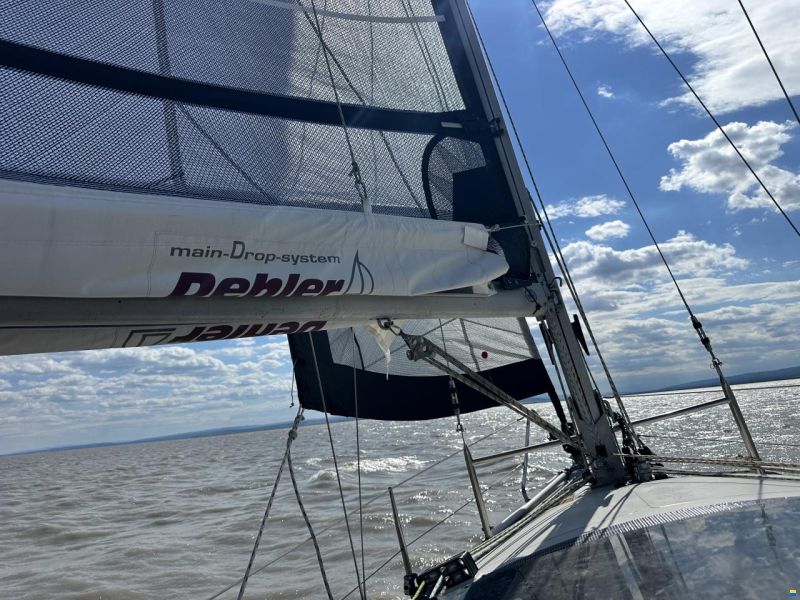Dehlya 25