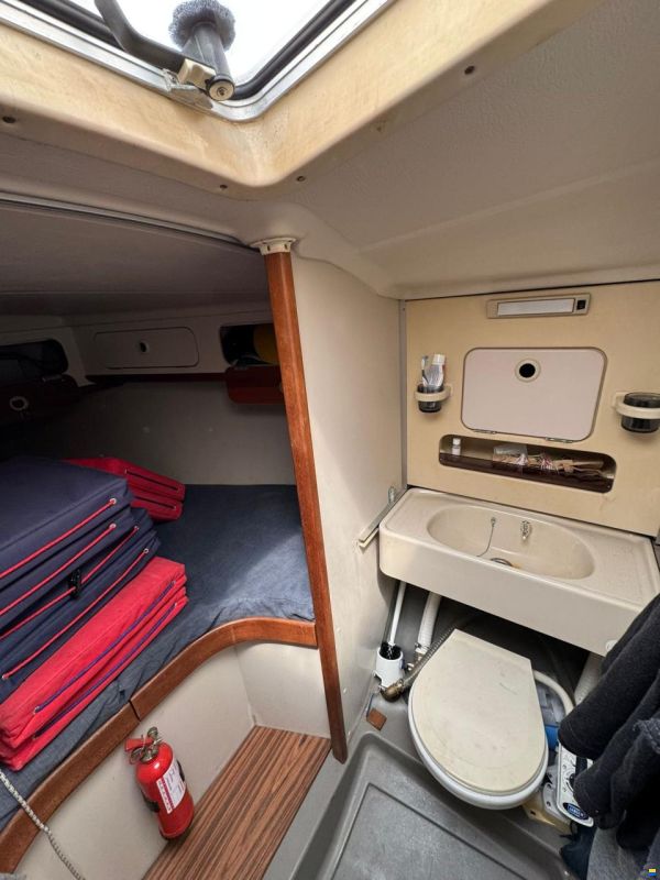 Dehler 36 CWS